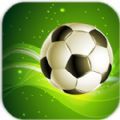 勝利足球(Winner Soccer Evolution)