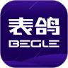 表鴿