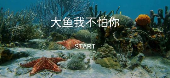 大魚我不怕你