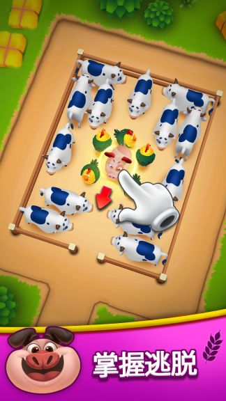 動物農(nóng)場果醬停車3D(Animal Farm Jam)
