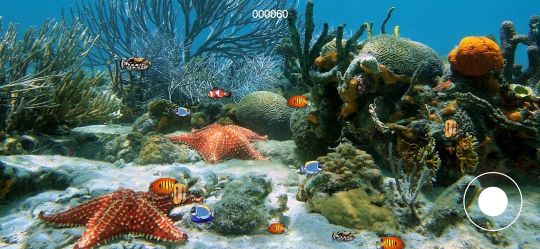 大魚我不怕你