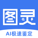 圖靈鑒定