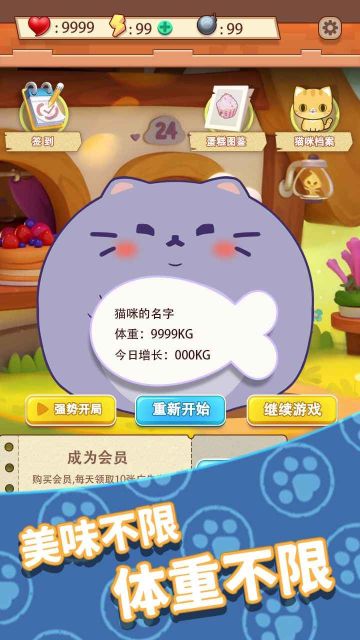 養只大肥貓