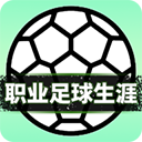 職業足球生涯