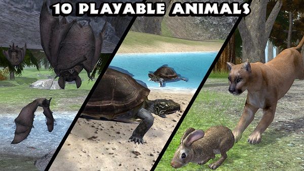 終極森林模擬器(ForestSim)