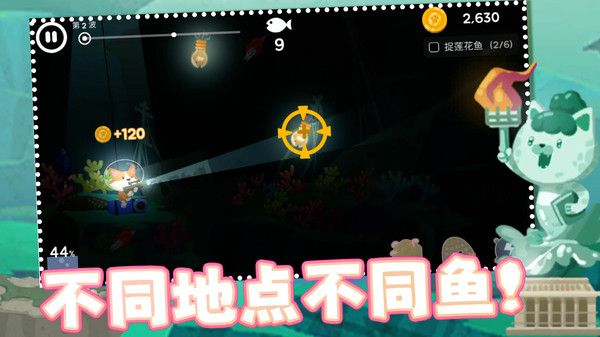 準準喵