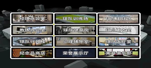 職業足球生涯