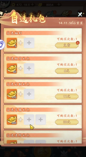 空島護衛隊