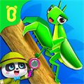 奇妙昆蟲日記(Insect Diary)