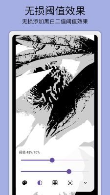 灰閾相機(jī)